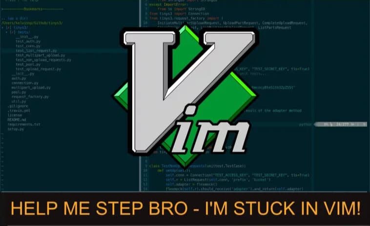 A meme about being stuck in vim. Comparing it to the "help me step-bro" jokes.